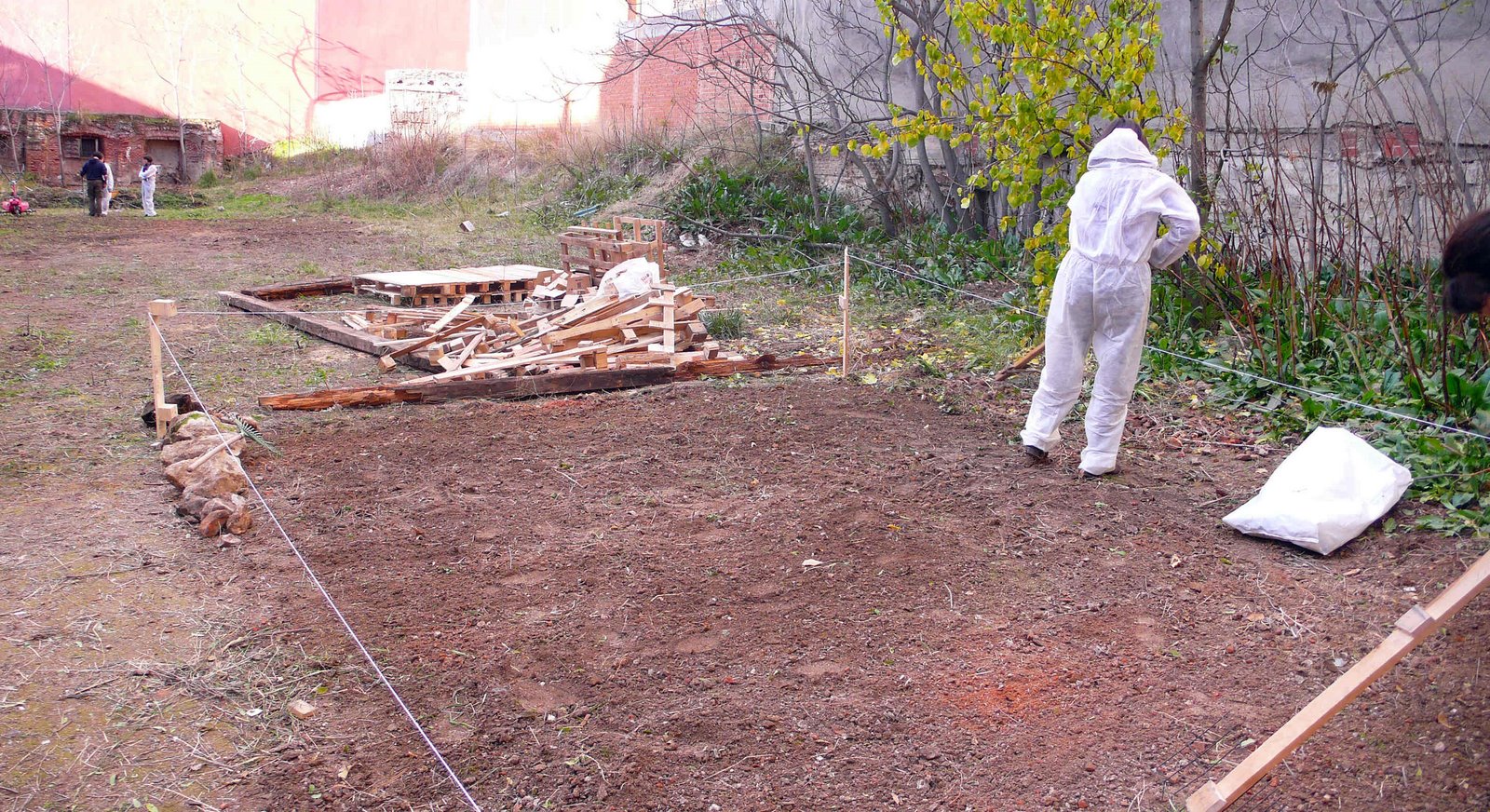 [inicio+huerto1.JPG]