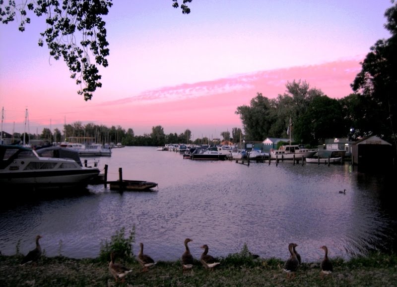 P H O T O G A L L E R Y: Strepen aan de hemel