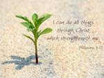 I can do all things through Christ which strengtheneth me.  Phil 4:13
