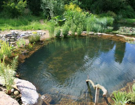 Content in a Cottage: 23 Breathtaking Natural Swimming Pools