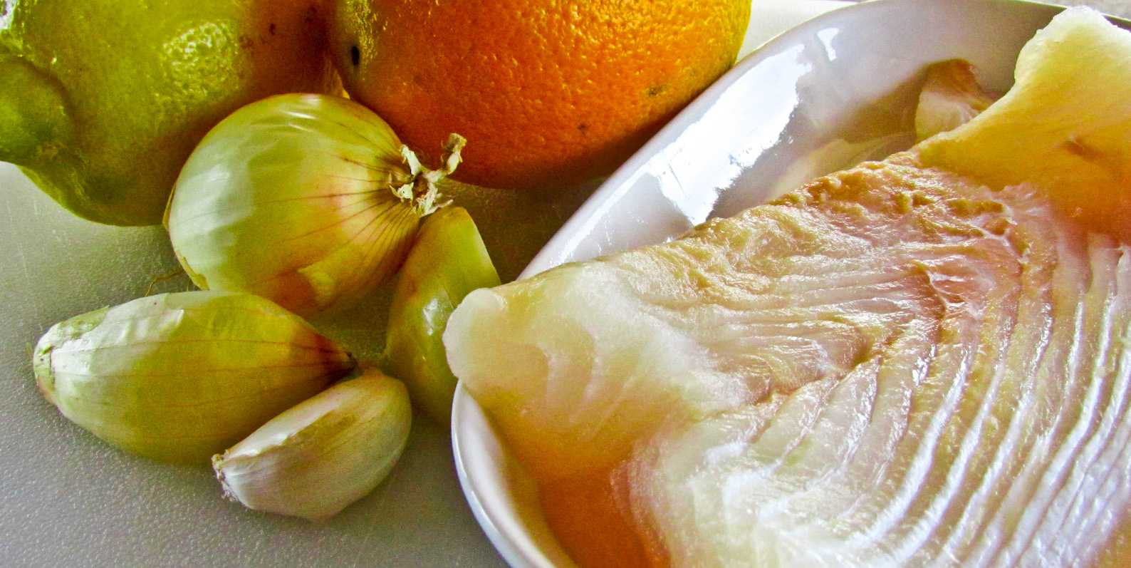 OnTheMoveIn the Galley Halibut Ceviche