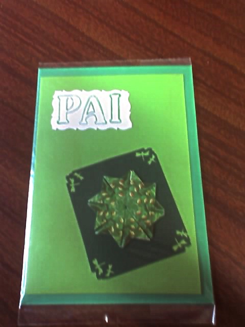 [pai06.JPG]