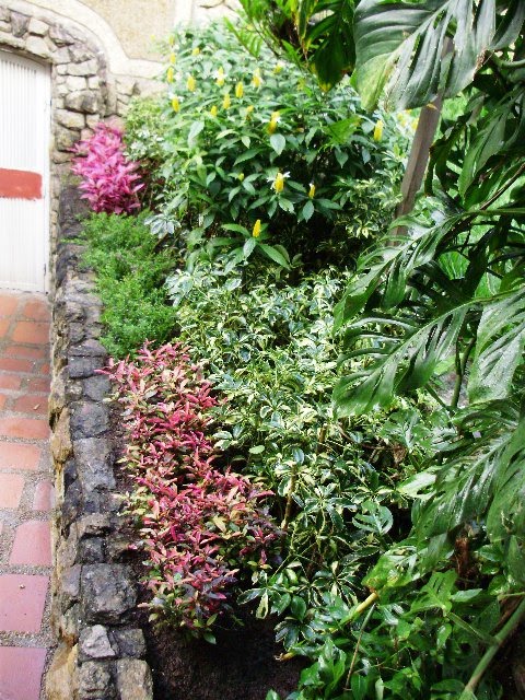 Jardinería e Imagen: ANTES & DESPUÉS: RENOVACIÓN DE DOS JARDINES