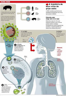 EDUCA EDUCANDO: INFLUENZA A H1N1 - Gripe Suína