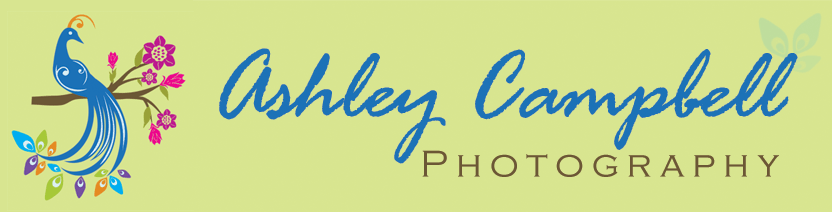 Ashley Campbell Photography