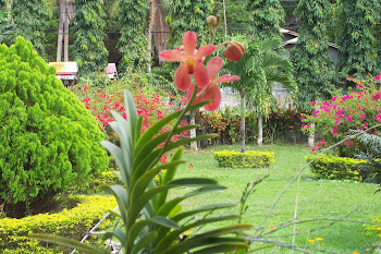 Front Yard of Retirement House