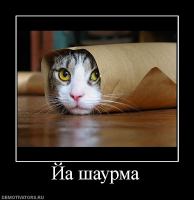 http://1.bp.blogspot.com/_LgmJBoD0CMM/SlfHT0lQo-I/AAAAAAAAAhM/2OJLiZp4Q5s/s400/9.jpg
