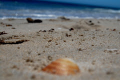 Collecting sea shells