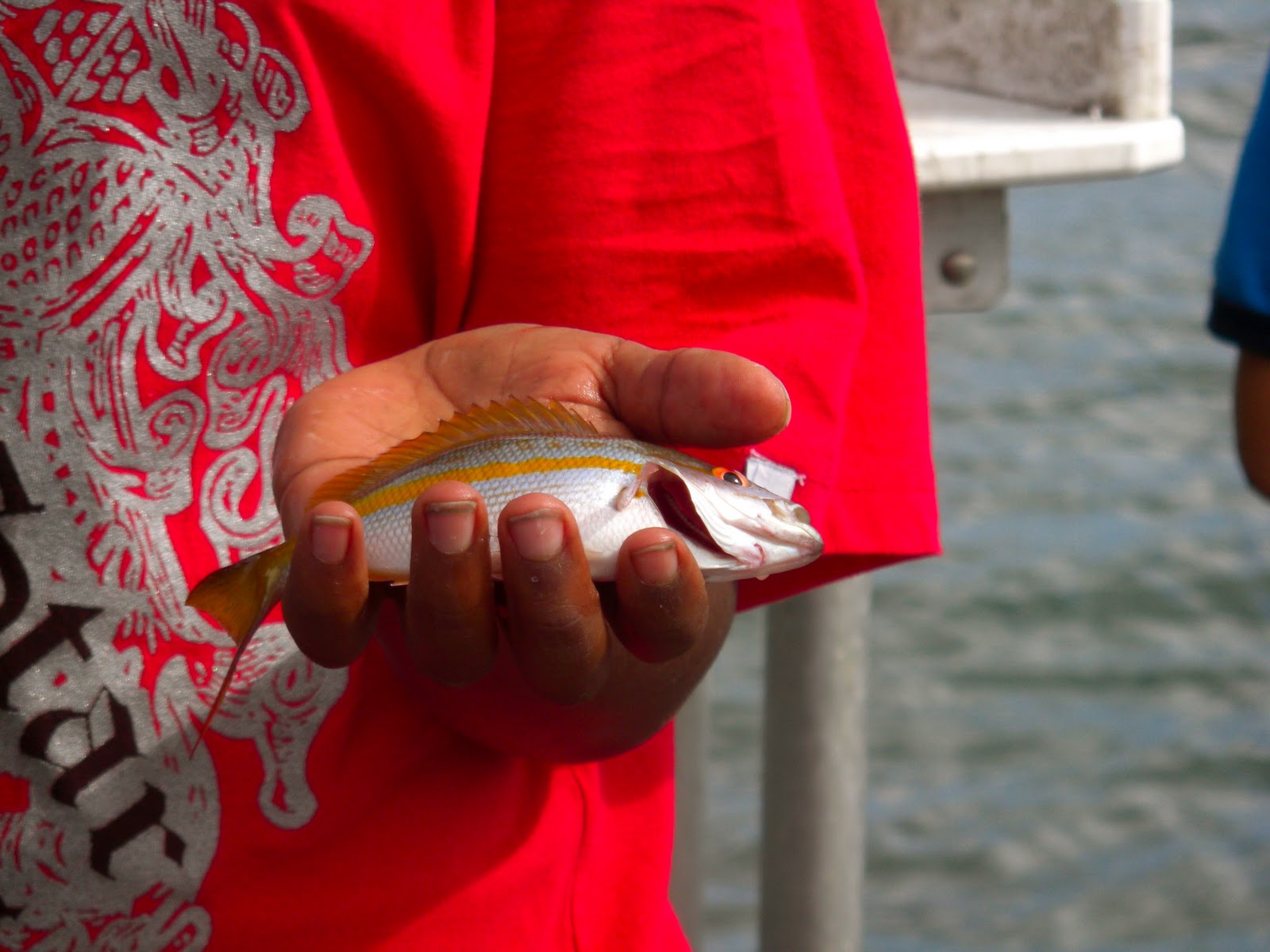 Florida Fishing Academy Saturday Fishing Class 11/13/10