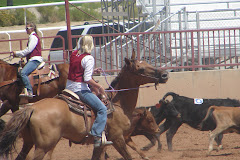Team Penning