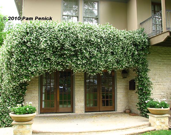 gigi&oliver: Up and Over