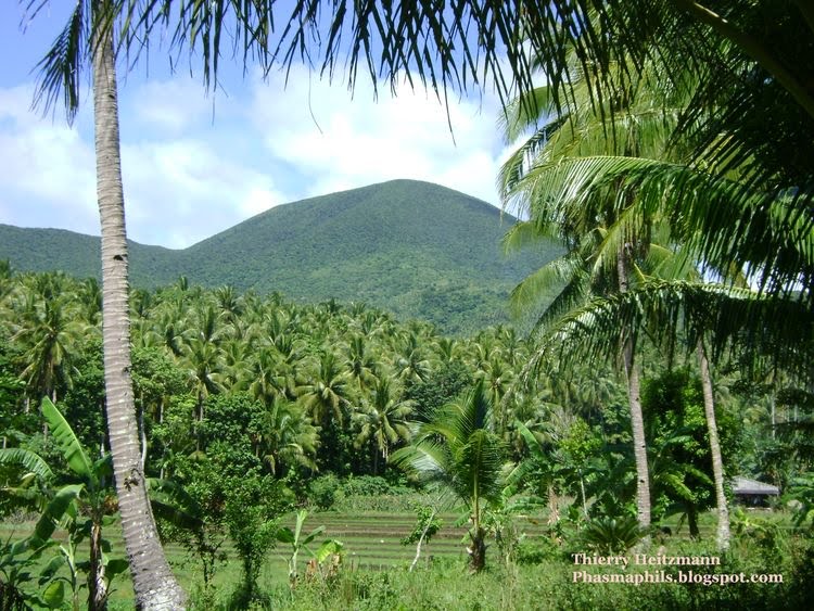 PhasmaPhils Pictures of Sites 13