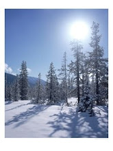 Colorado Snow