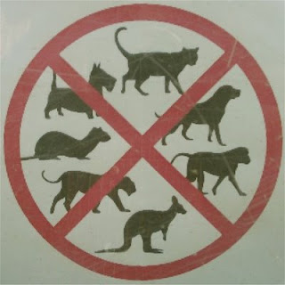 rabies sign