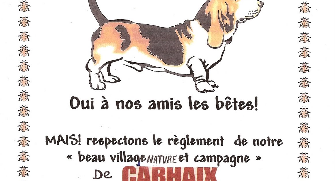 Affiche Crotte De Chien Gratuit Gratuit
