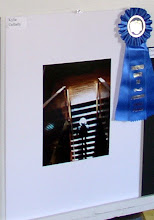 Kylie Gellatly's entry