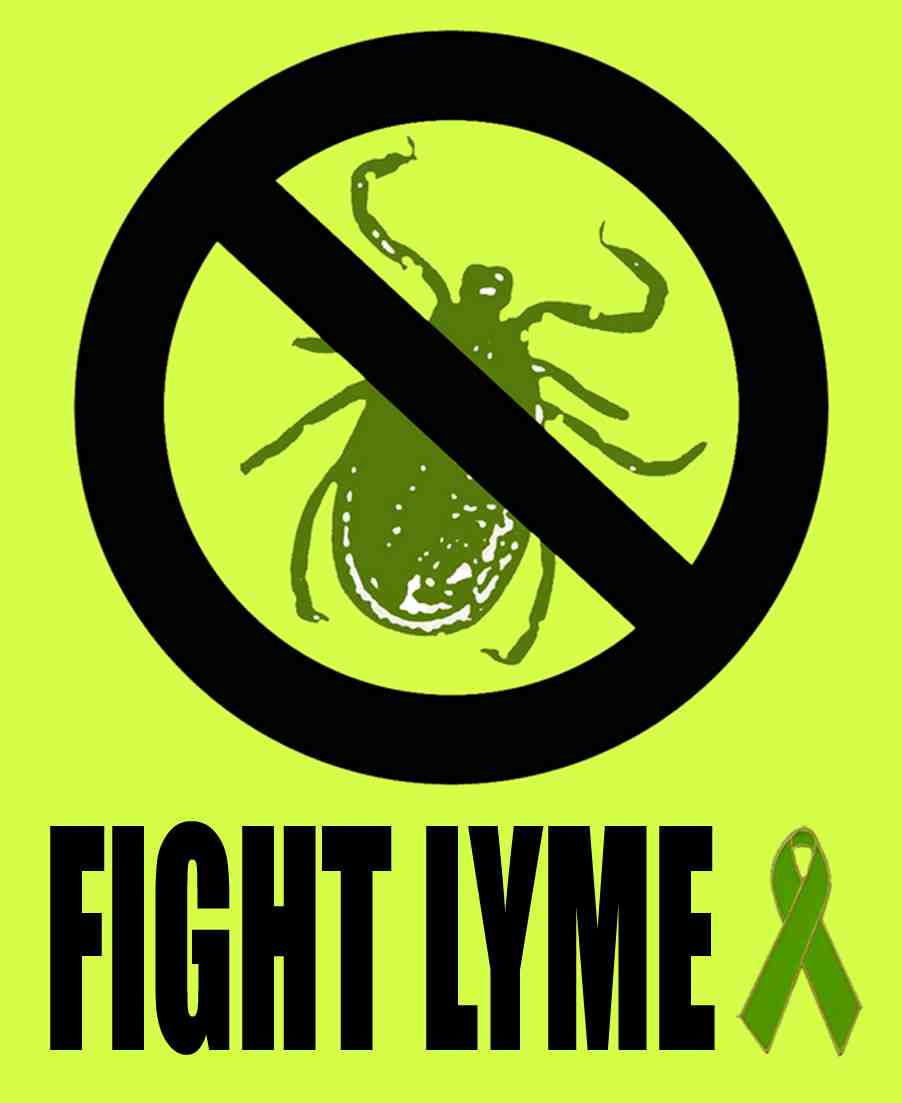 Diseases Is Lyme Disease Curable