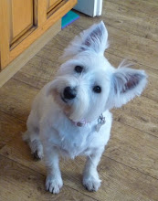 Skye - Our Westie :)