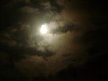 The moon