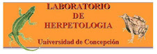 laboratorio de Herpetología