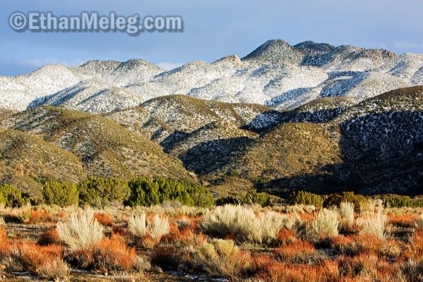 [CA_MojaveForks_EMELEG_7804.jpg]