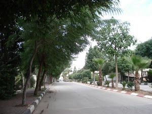 Qalqilia .the green city