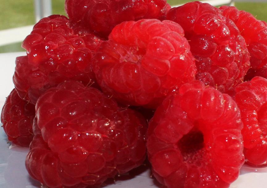 Fresh red raspberry pie recipe what s cookin italian style cuisine