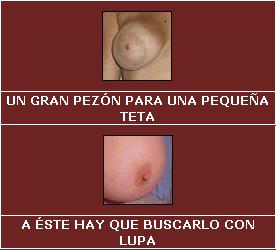 [tamanhos.JPG]