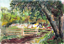 painting wild places with watercolors dvd 1