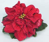 Stella Di Natale Winter Rose.Dicembre 2008 Fiorista Mariangela