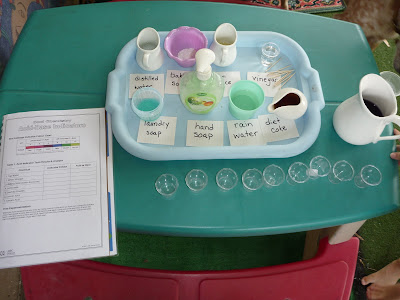 Red Cabbage Indicator Experiment Worksheets