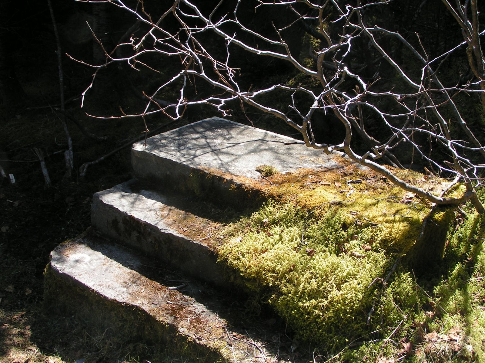 [spring+2009+136.jpg]