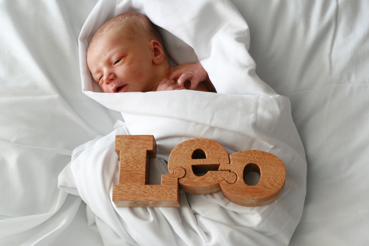 Adventures in Homeowning ROAR! Baby Leo!