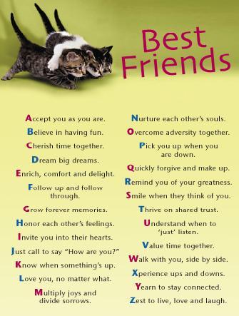 quotes about friendship and life. quotes on life and friendship.