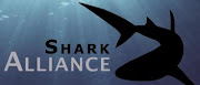 SHARK ALLIANCE