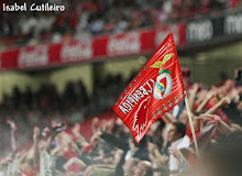 Bandeiras do Benfica