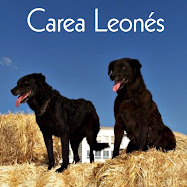 Carea Leonés