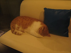 [164228166_042fb3dcb4_m.jpg]