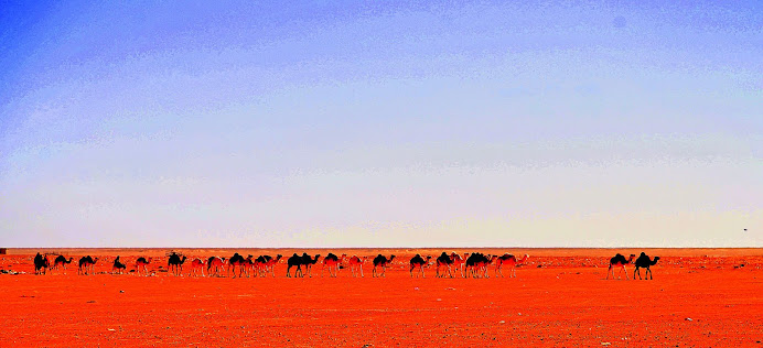 Desierto del Sahara "La hamada Argelina"