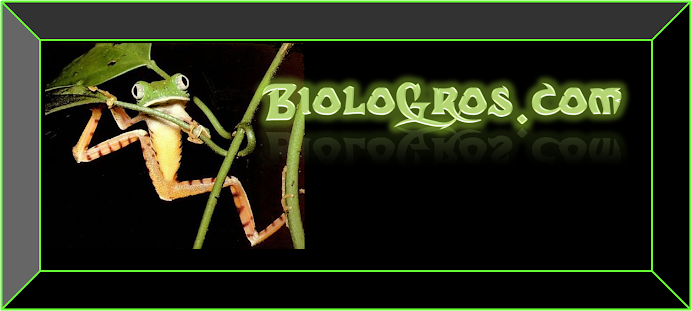 biologros