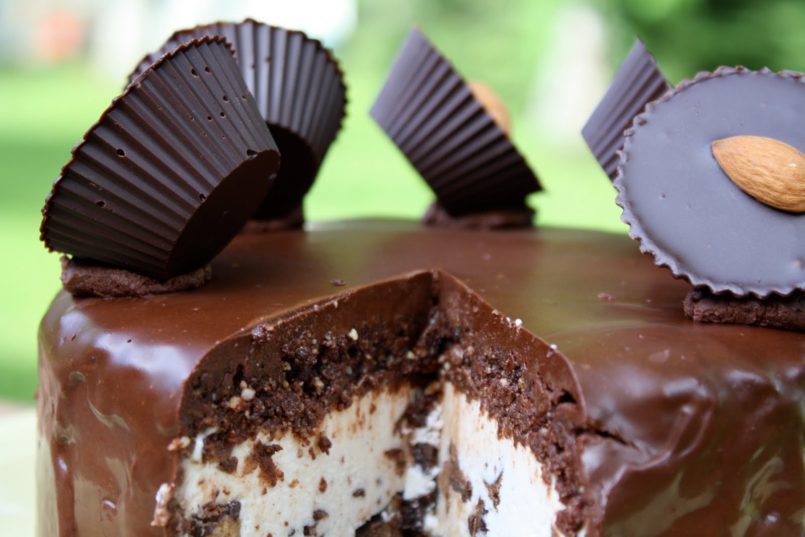 Raw Vegan Chocolate Peanut Butter Ice Cream Cake