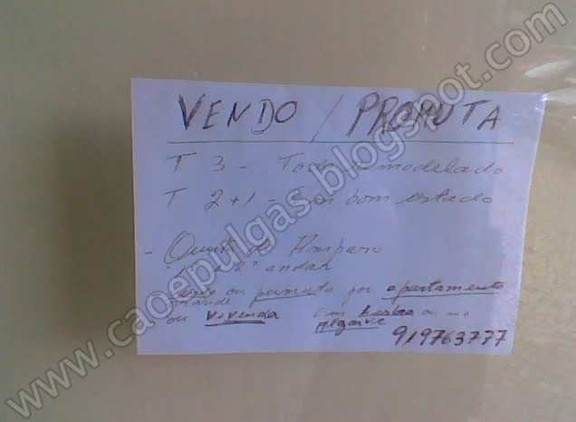 [promutatispromutandis.jpg]