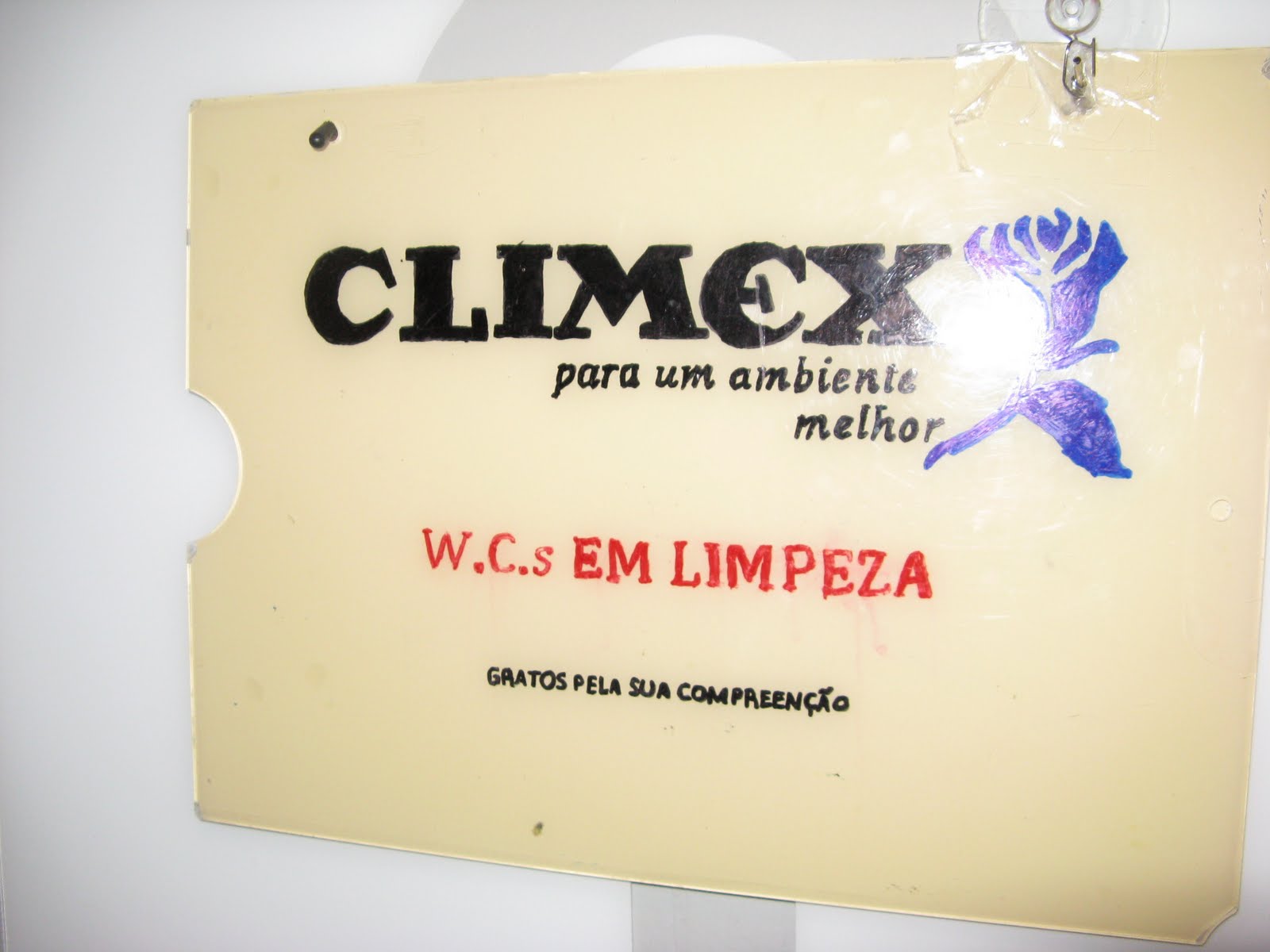 [IMG_0293compreen.JPG]