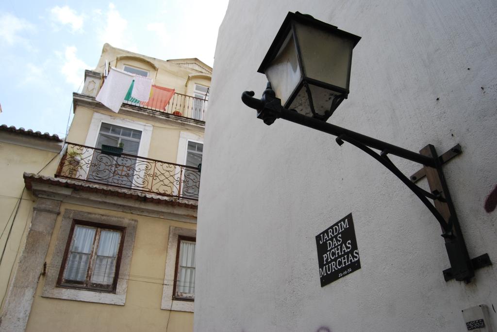 [jardimpichasm.jpeg]