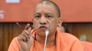 Image result for yogi