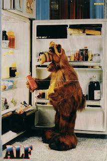 kuehlschrank-alf.jpg
