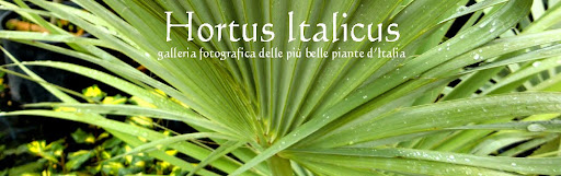 Hortus Italicus