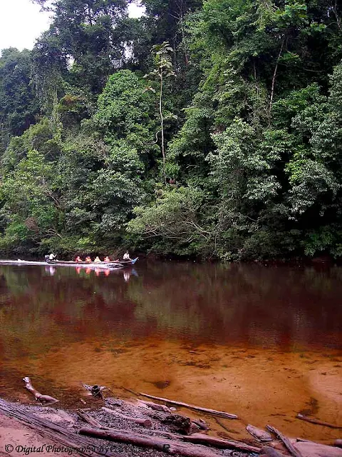 Motorized Sampan at Kuala Tahan