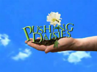 Watch Pushing Daisies episodes online