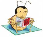 I´m reading